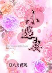 小逃妻 小逃妻